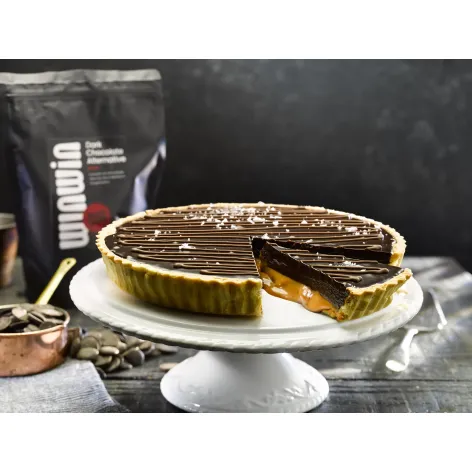 Win-Win Cocoa-Free Dark Choc Alternative Easymelt